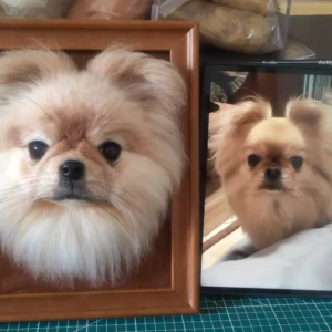 Dog~Customize Wool-Felt