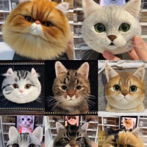 Cat Customize Wool-Felt