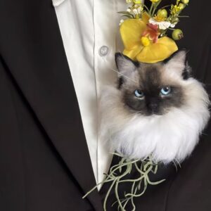 Mini Style Woolfelt Animals Pin (Can be customized as well **% Deposit to Start the Project))